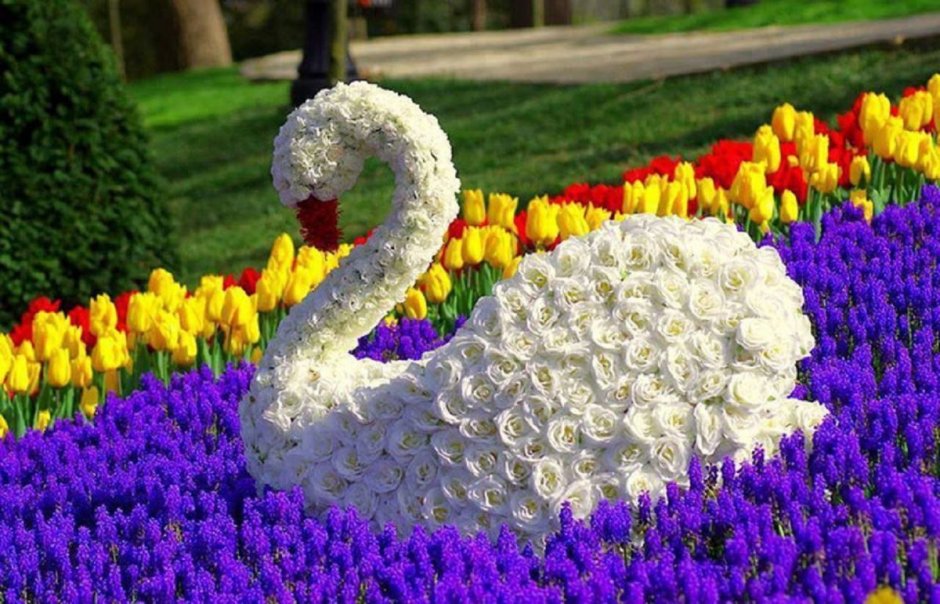 Цветочная клумба с лебедями
