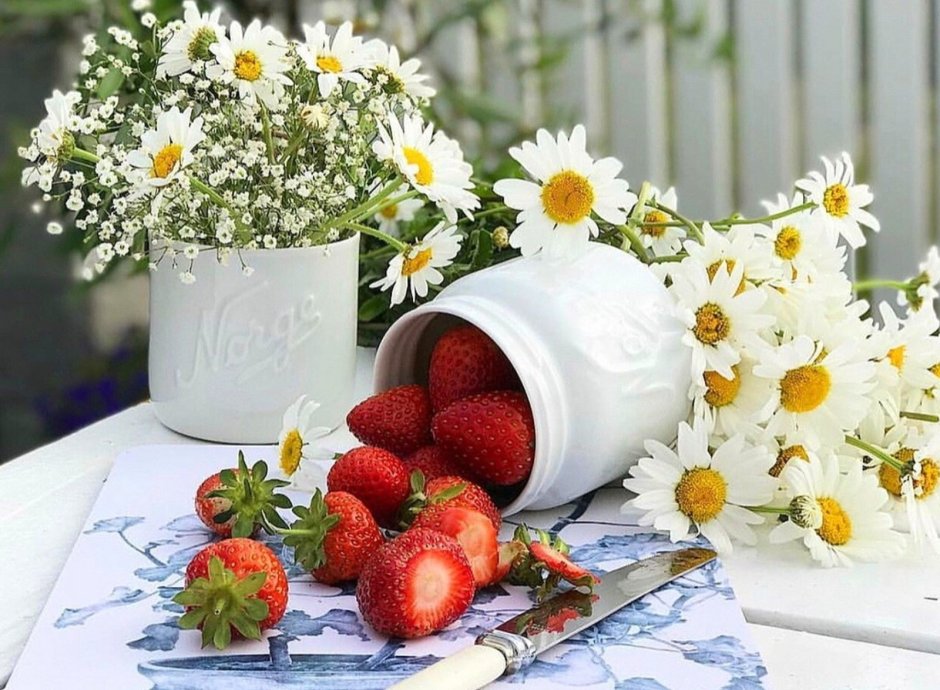 Летнее утро цветок ягода