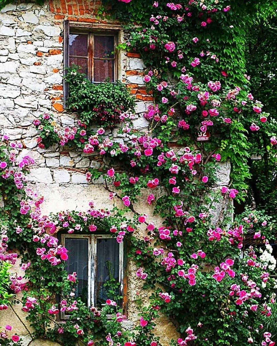 Розы Весна дом балкон