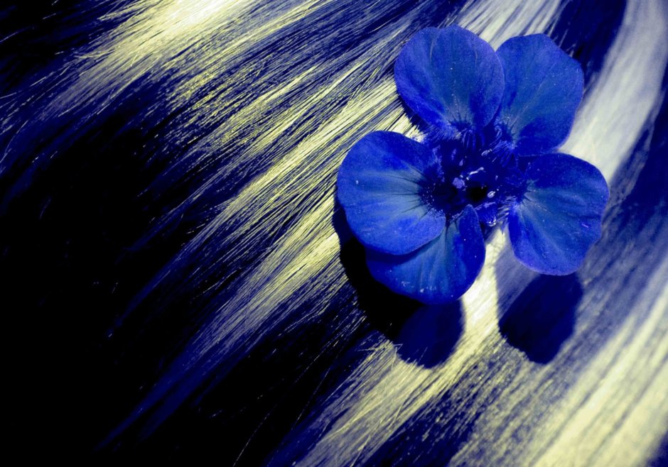 Синий цветок в волосах