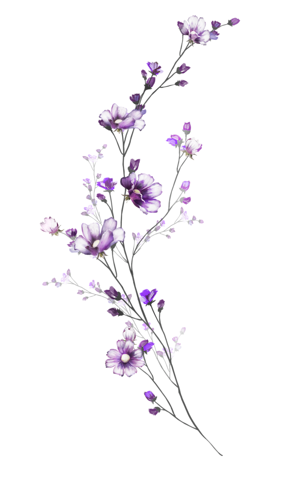 Веточка фиолетовые мелкие цветочки