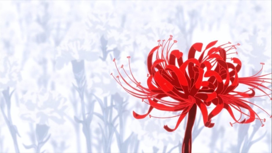 Паучья Лилия цветок Токийский гуль