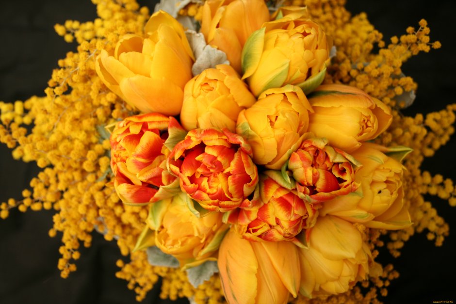Цветы Мимоза и тюльпаны