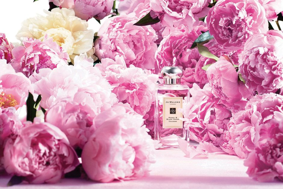 Peony and blush Suede от Jo Malone