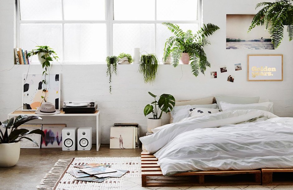 Белая комната с растениями