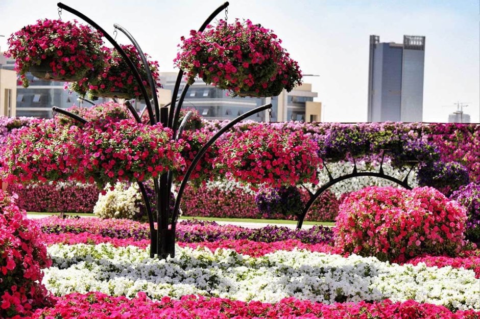 Цветочная клумба Дубаи