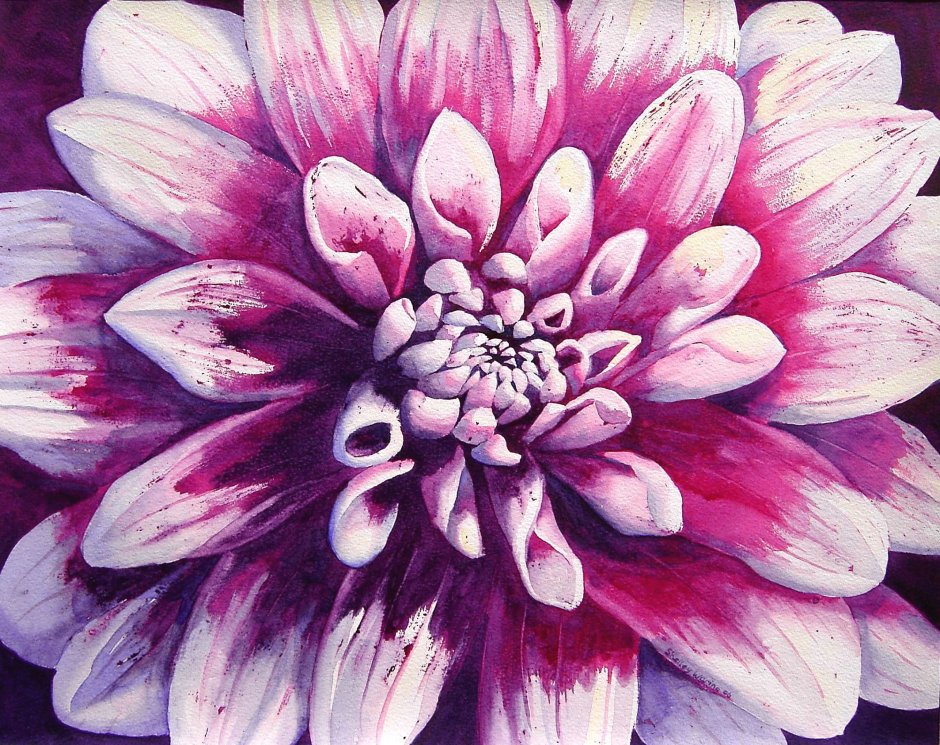 Dahlia Flower Watercolor