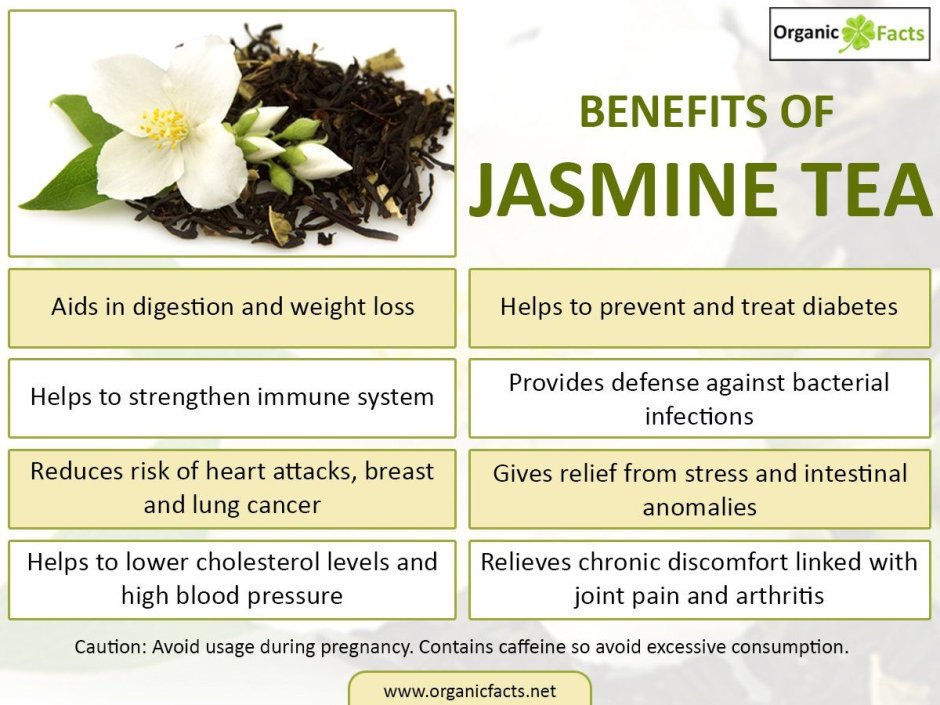 Jasmine Tea onlyfans