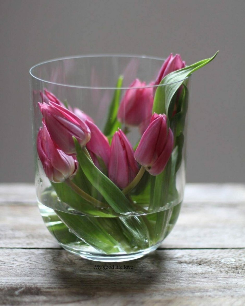 Тюльпаны в стакане