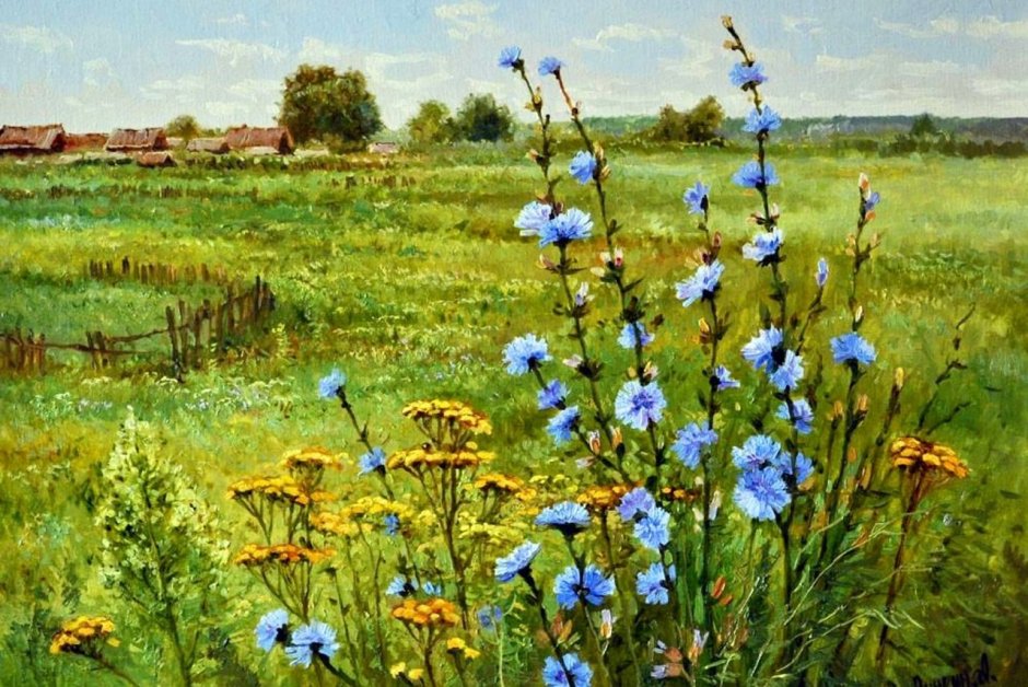 Художник Алексей Аникин полевые цветы