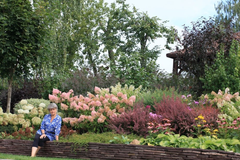 Клумба гортензия, пузыреплодник, Барбарис