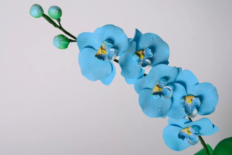 Голубая Орхидея из фоамирана