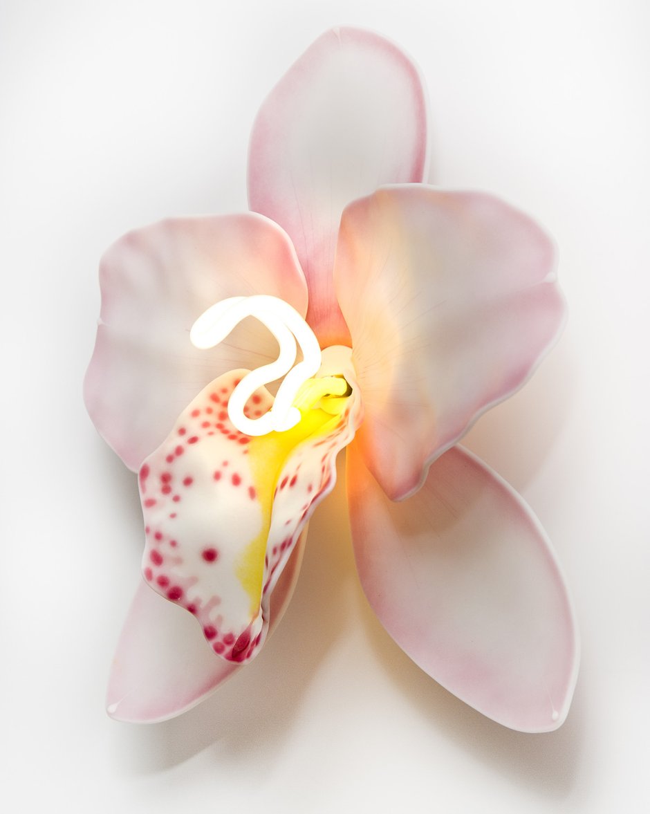 Орхидея Вдохновение