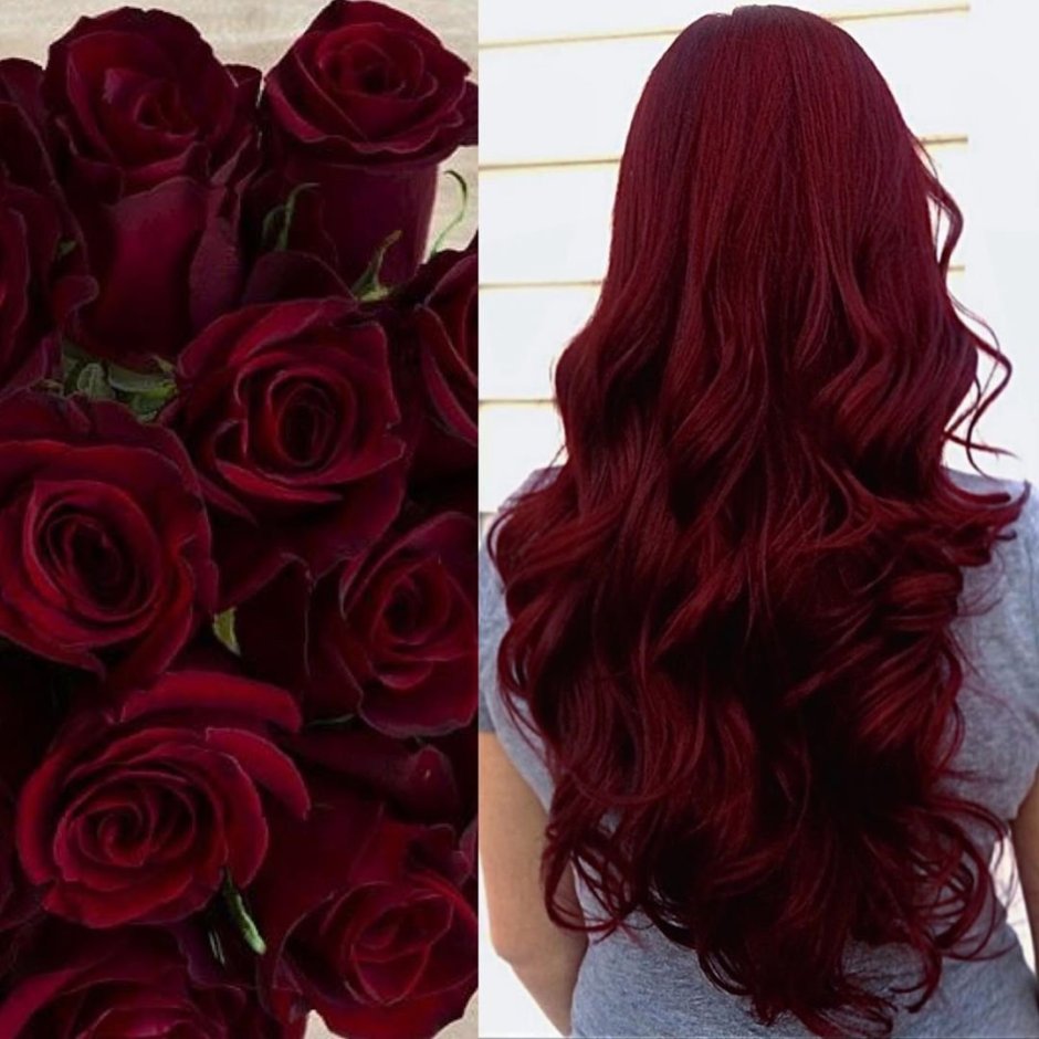 Бордовые розы цвет волос