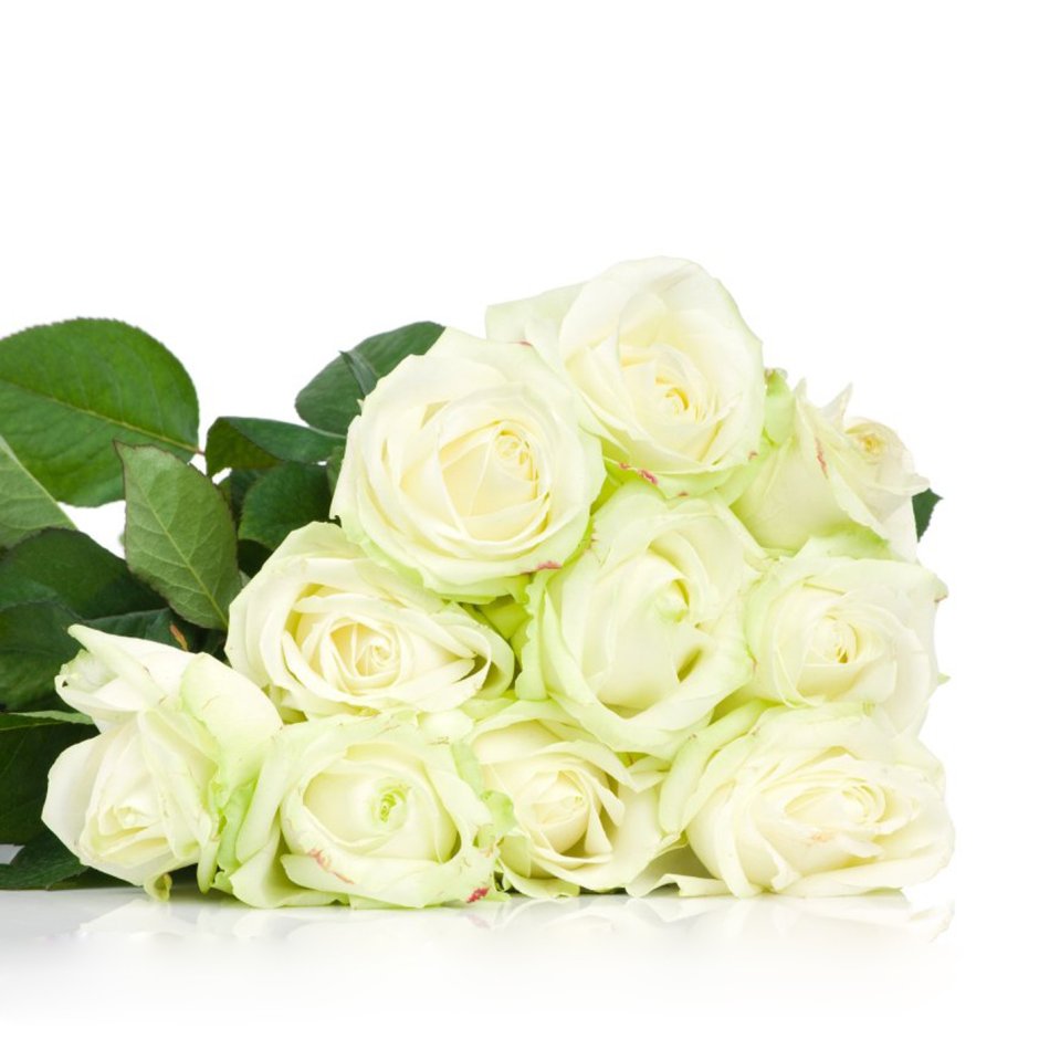 Букет белых роз лежит