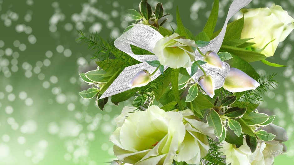 Зеленые цветы на белом фоне