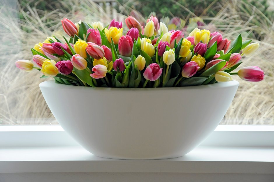 Шикарные тюльпаны с добрыми пожеланиями