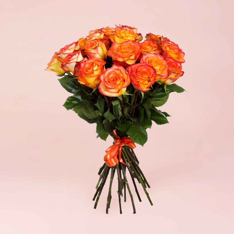 Роза одноголовая оранжевая