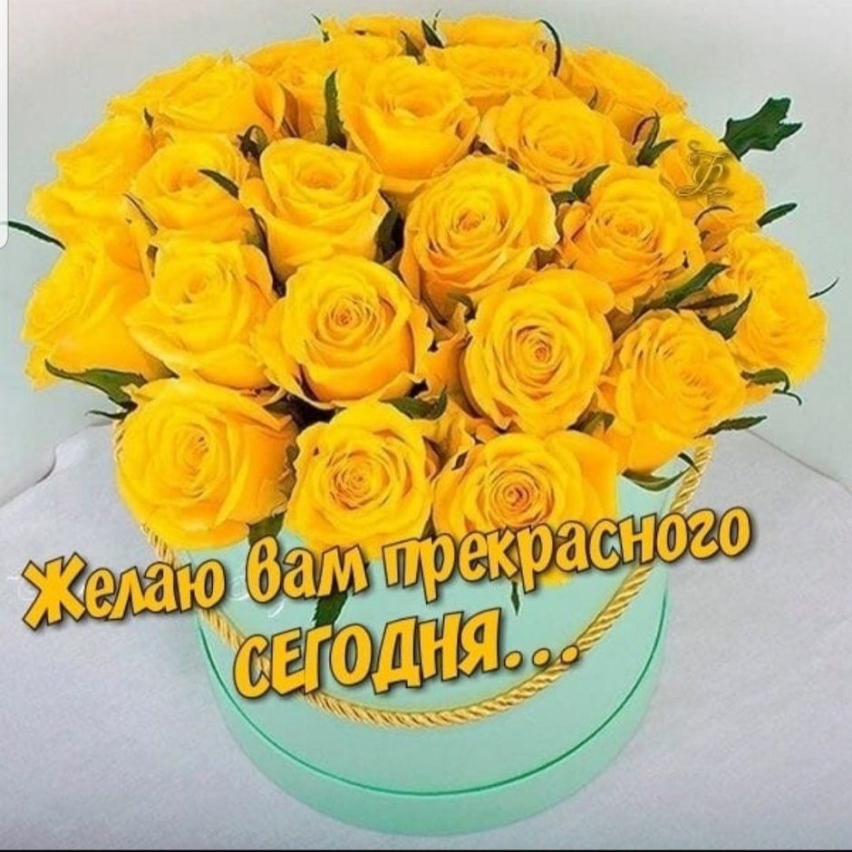 С днём рождения желтые розы