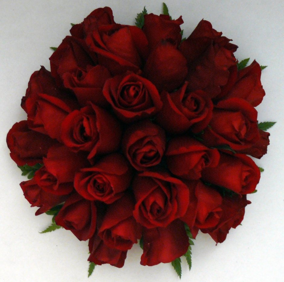 Темно красные розы букет