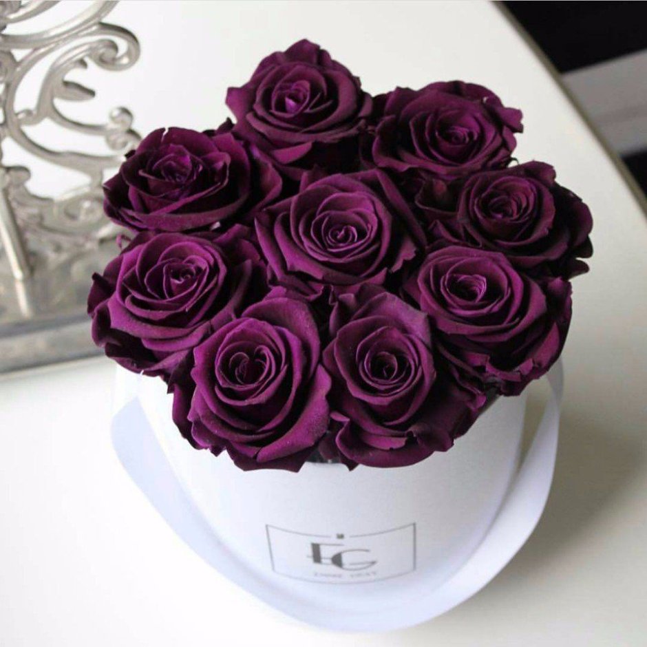 Фиолетовые розы в коробке