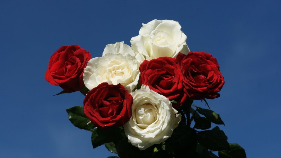 Букет из трех цветов роз