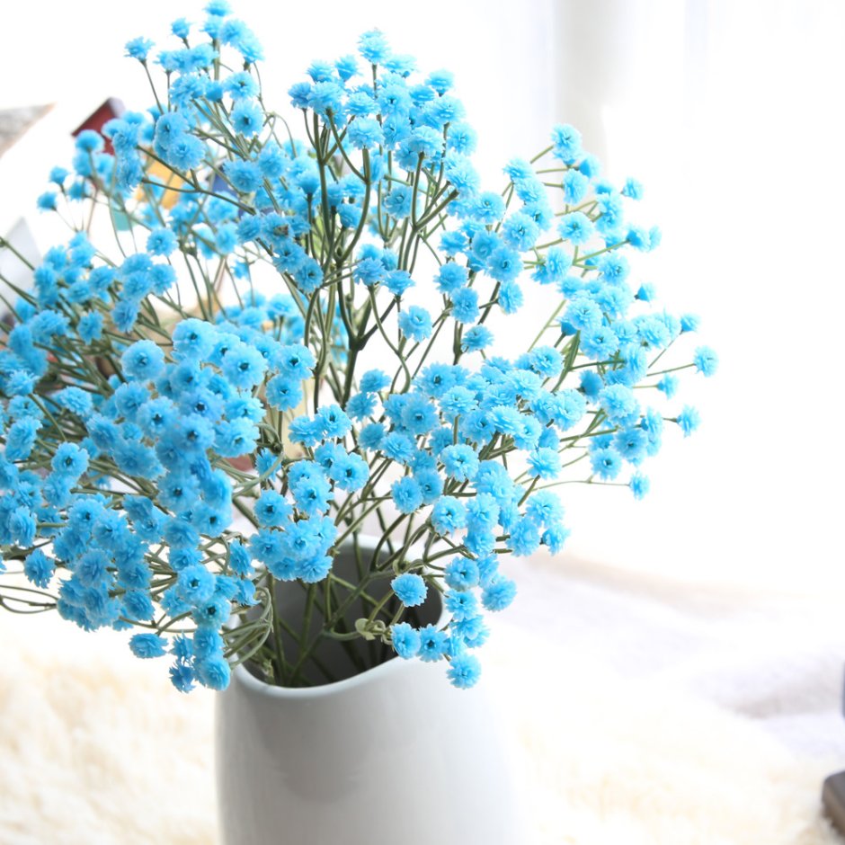 Цветы гипсофилы голубые
