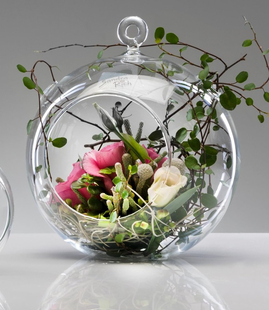 Сухоцветы в стеклянной вазе