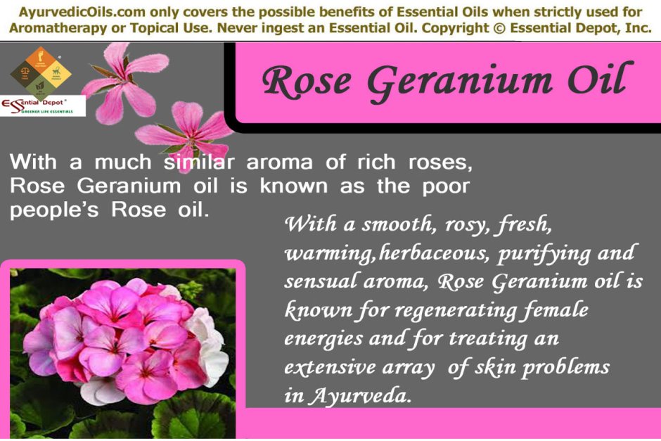 Floris Rose Geranium