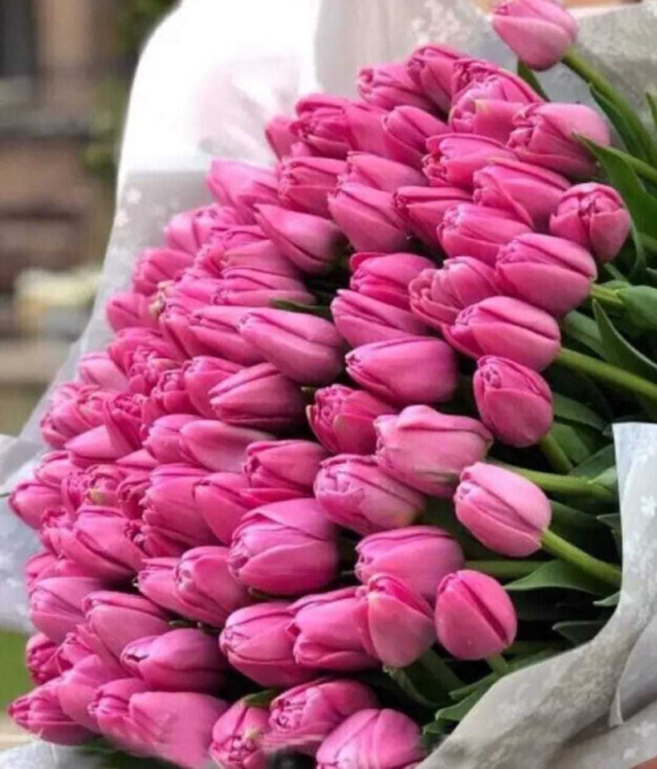 Шикарный букет тюльпанов