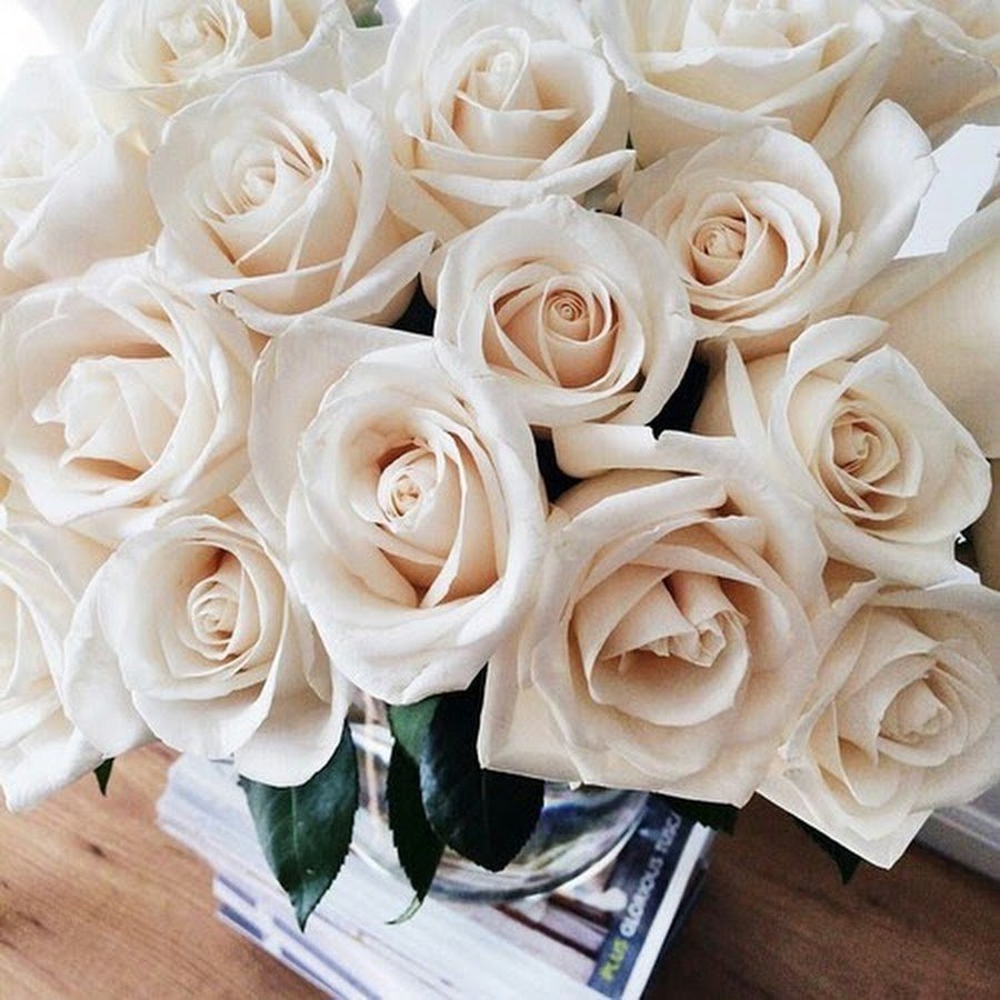 Белые розы