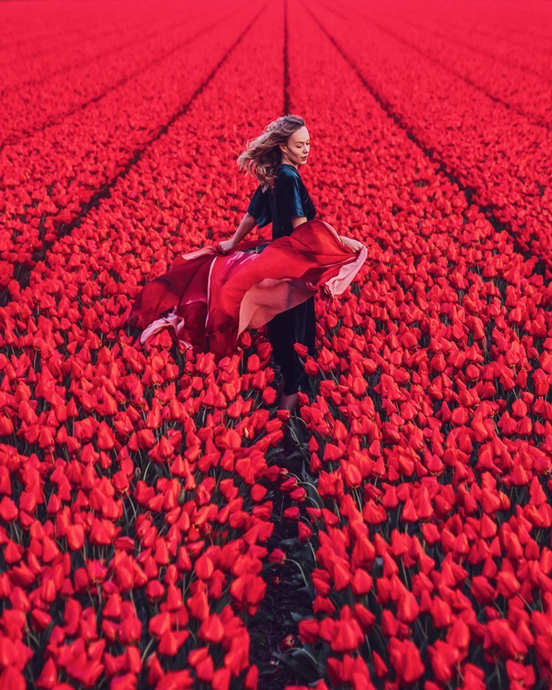 Северная Голландия, поле тюльпанов. Модель: Ася.