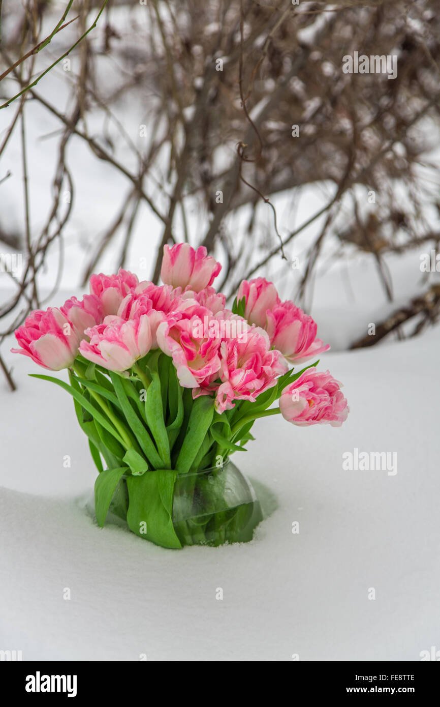 Тюльпаны в корзине на снегу