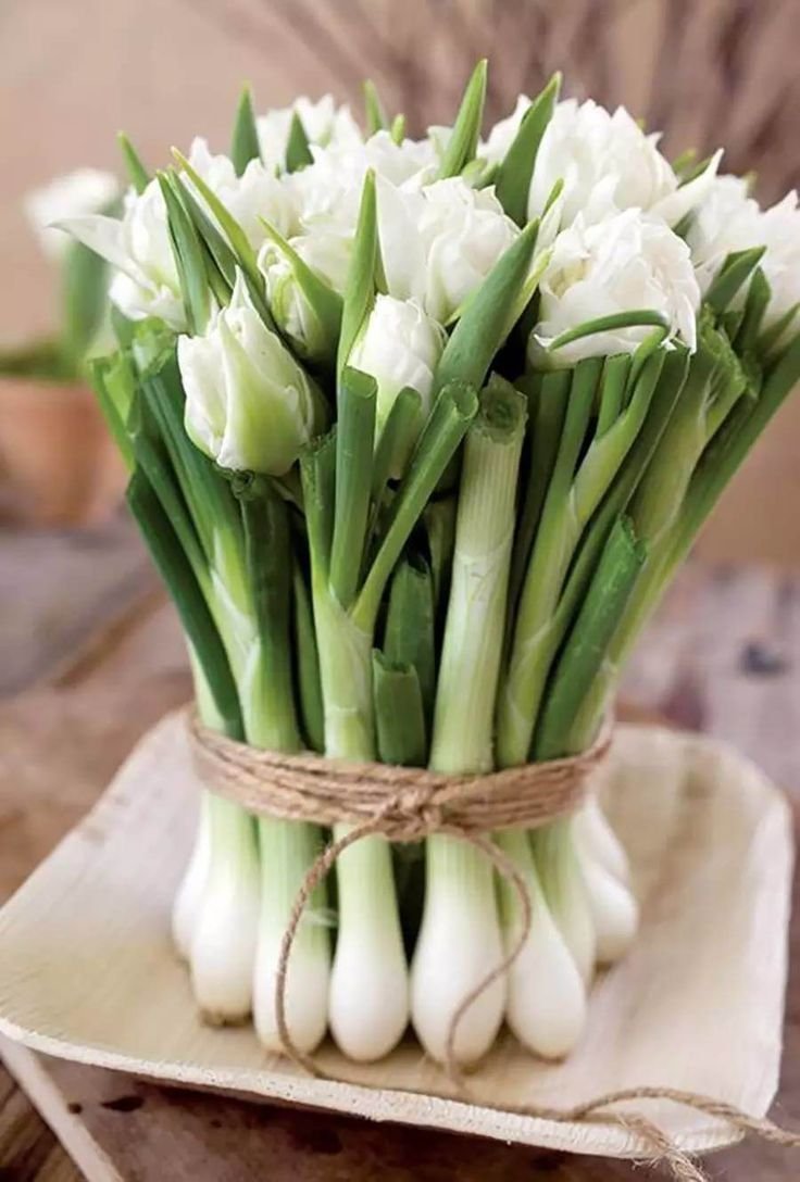 Композиции с белыми тюльпанами