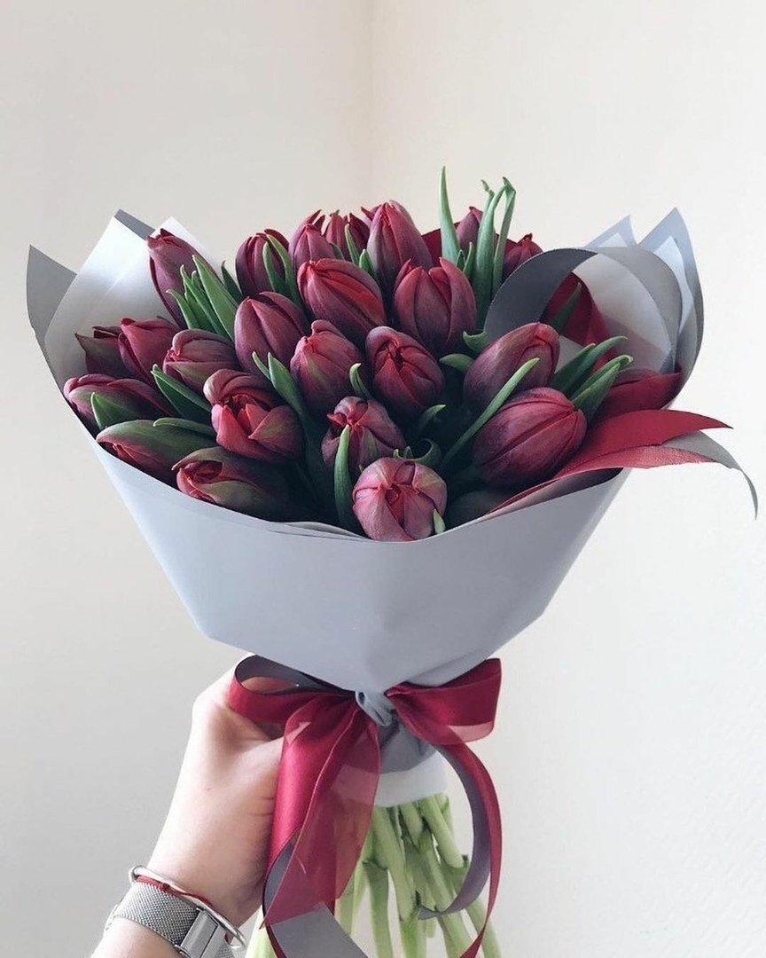 Бордовые тюльпаны букет