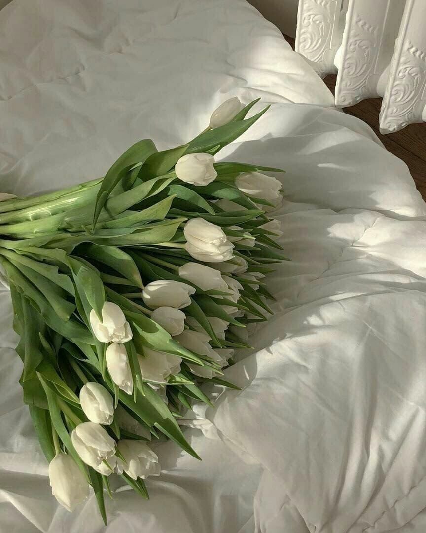 Тюльпаны в постель