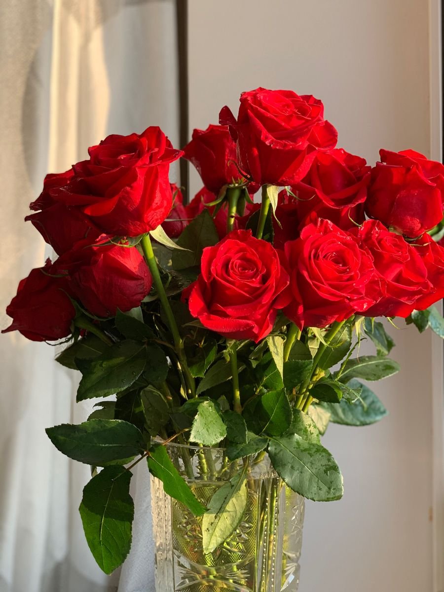 Красные розы в вазе дома