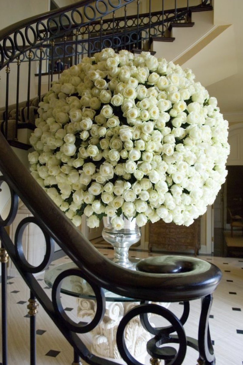 Самый большой букет белых роз