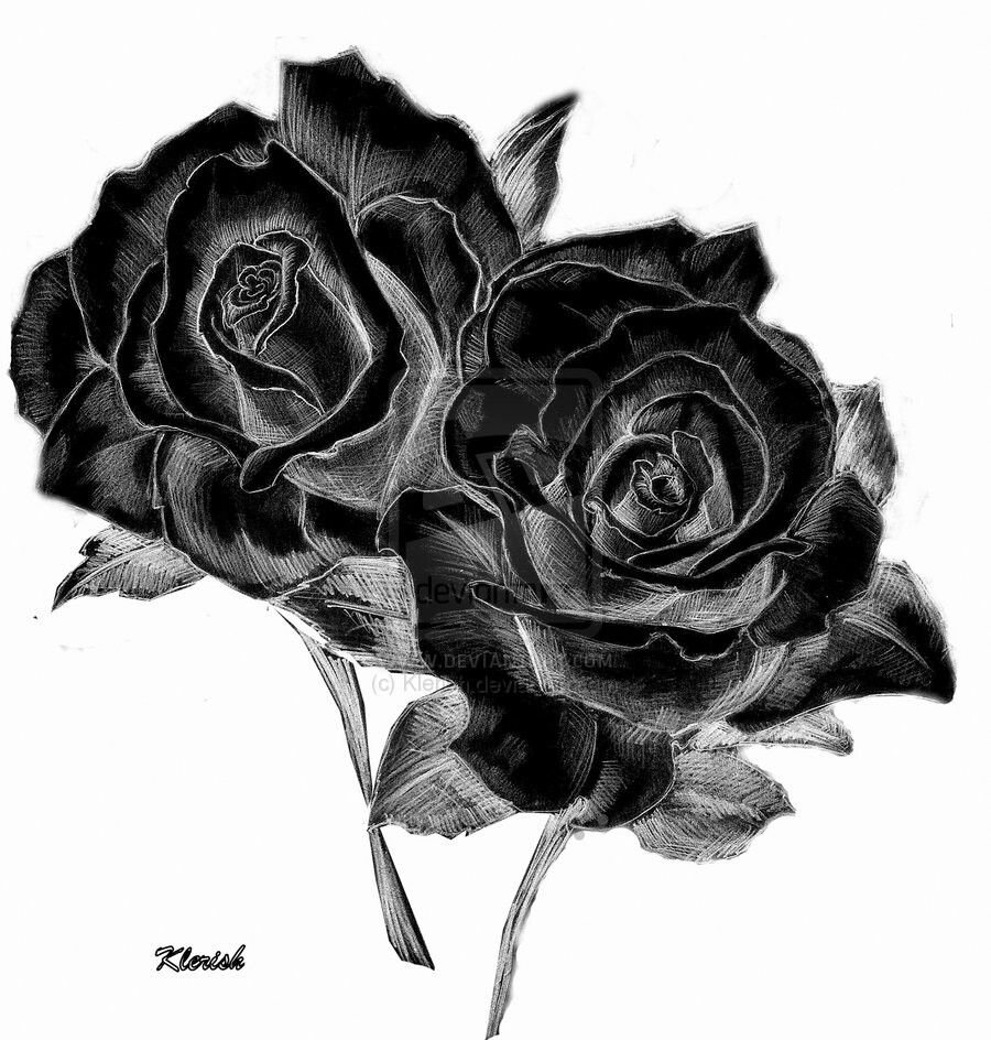 Темные розы эскиз