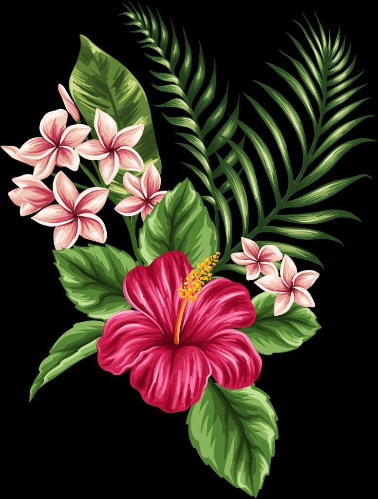 Эскиз Гавайских цветов