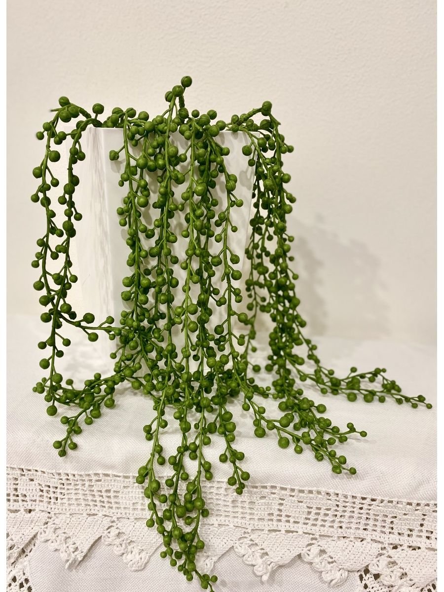 Ампельное растение с мелкими листочками
