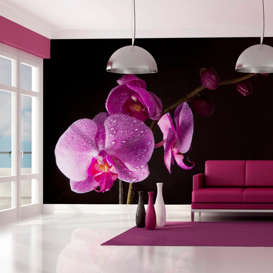 Орхидея на стене