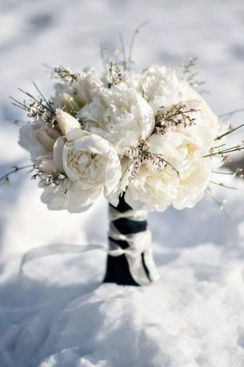 Красивые зимние цветы