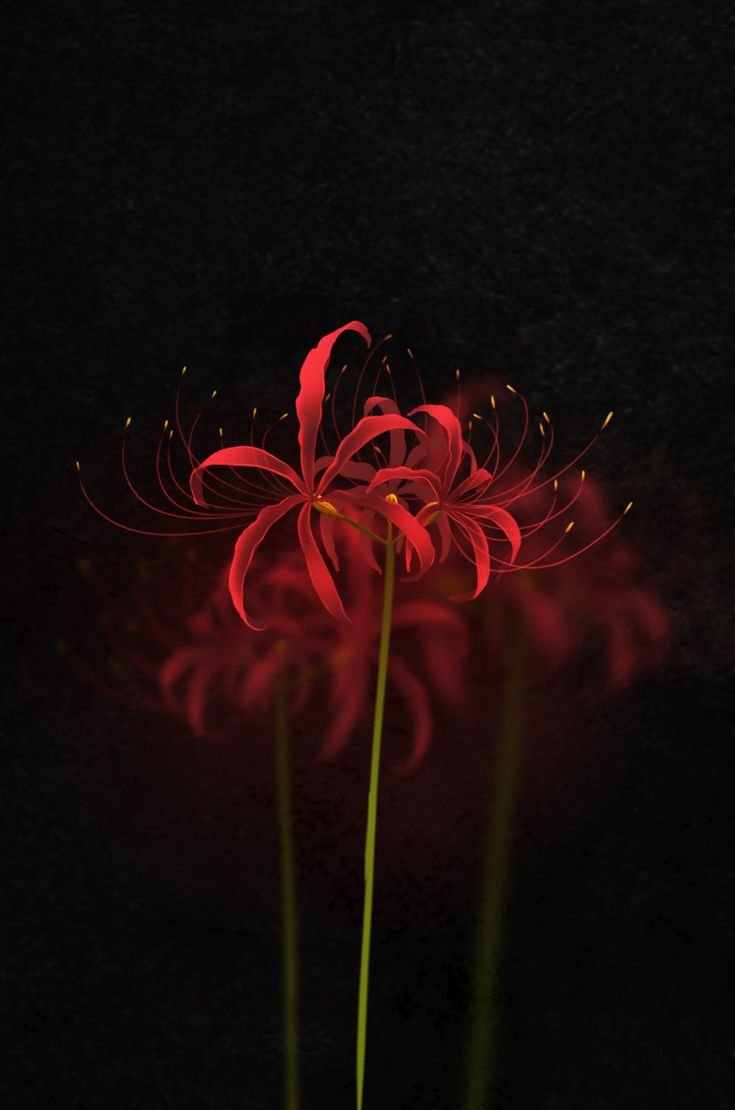 Красные цветы из аниме