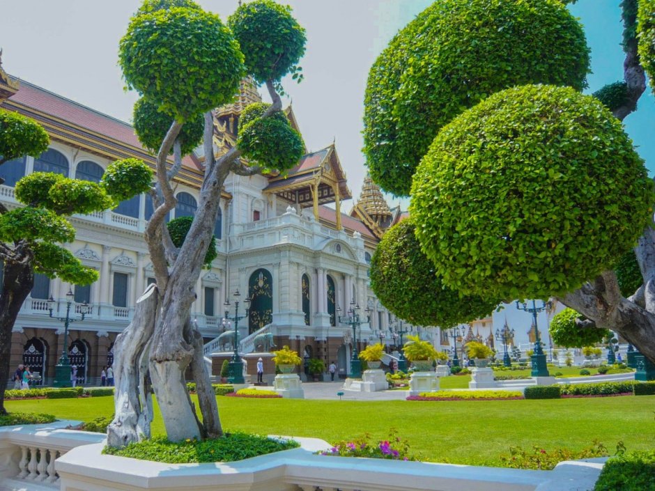 Деревья Тайланда