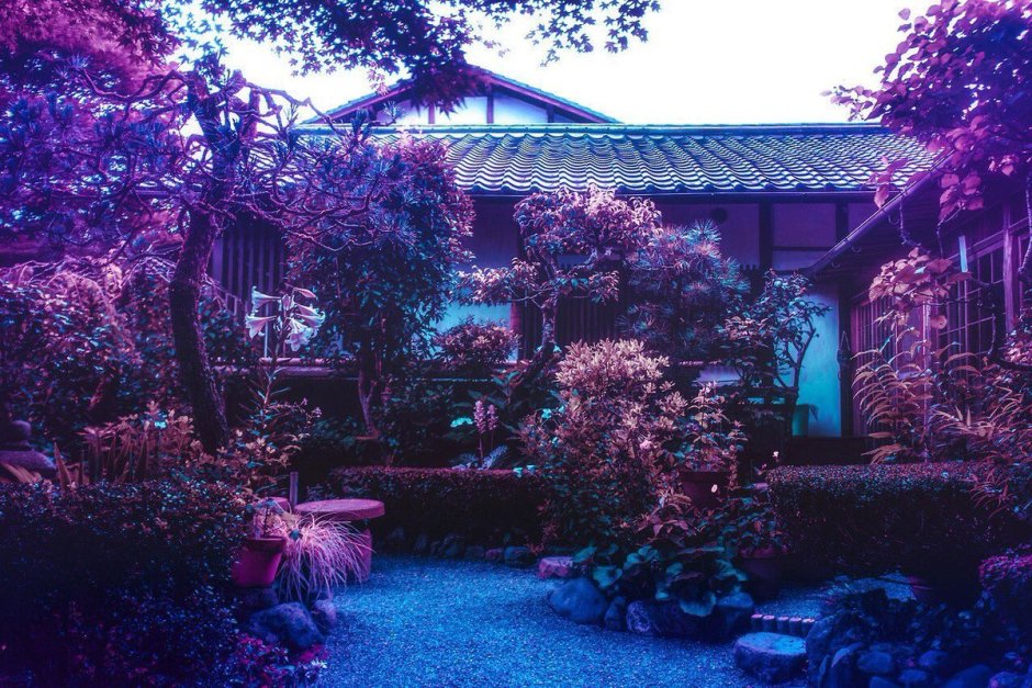 Японский сад в фиолетовых оттенках