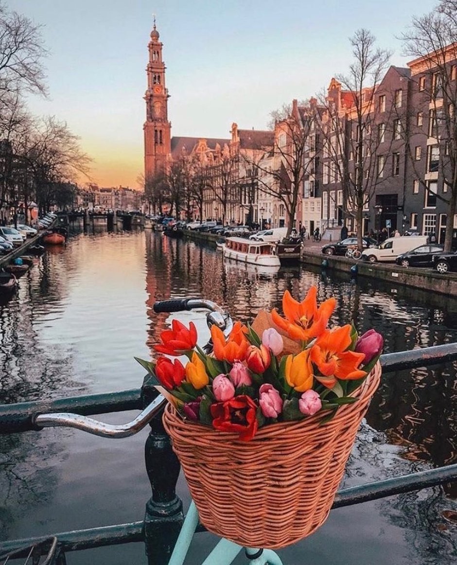 Голландия Амстердам