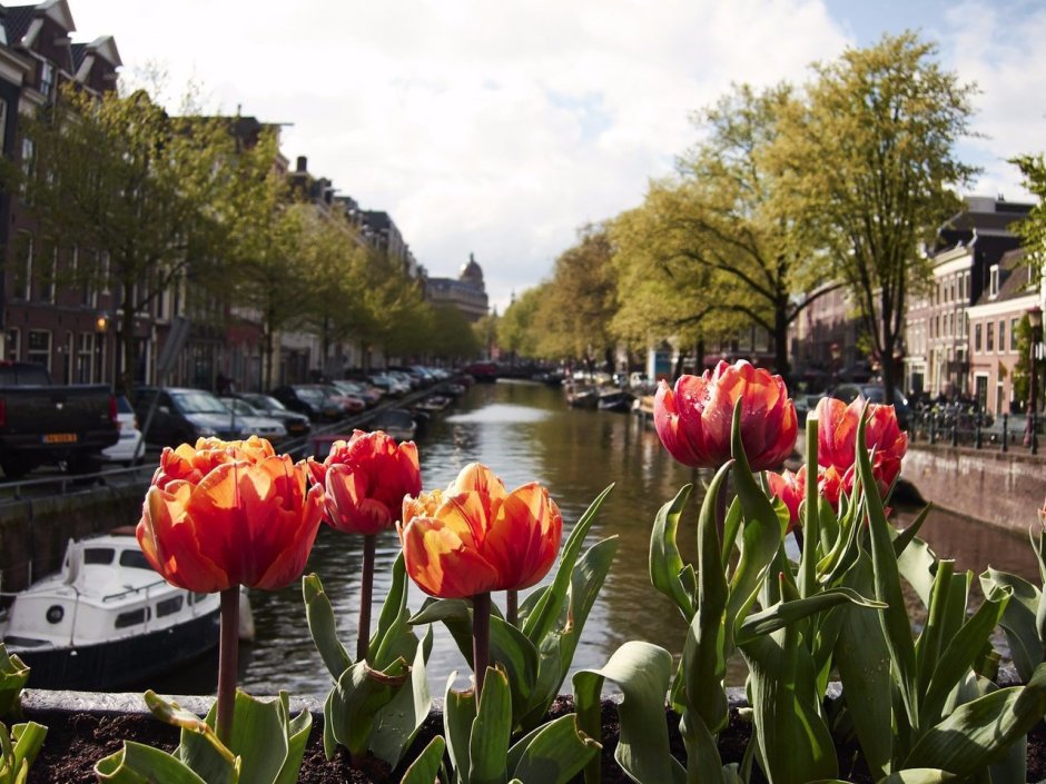 Весна в Амстердаме