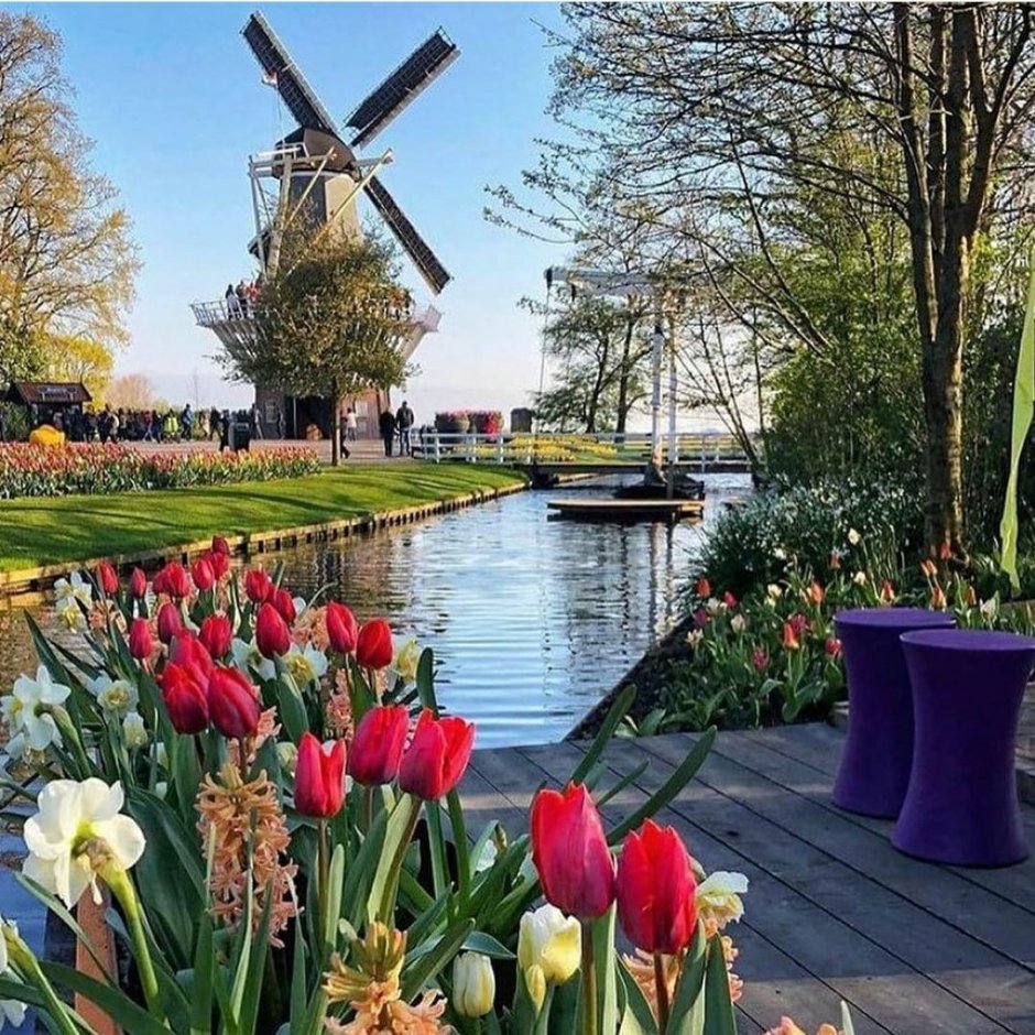 Нидерланды весенний парк Keukenhof