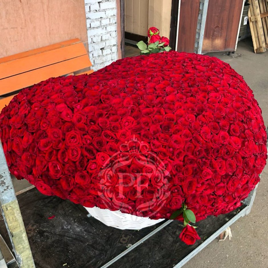 Самый огромный букет роз
